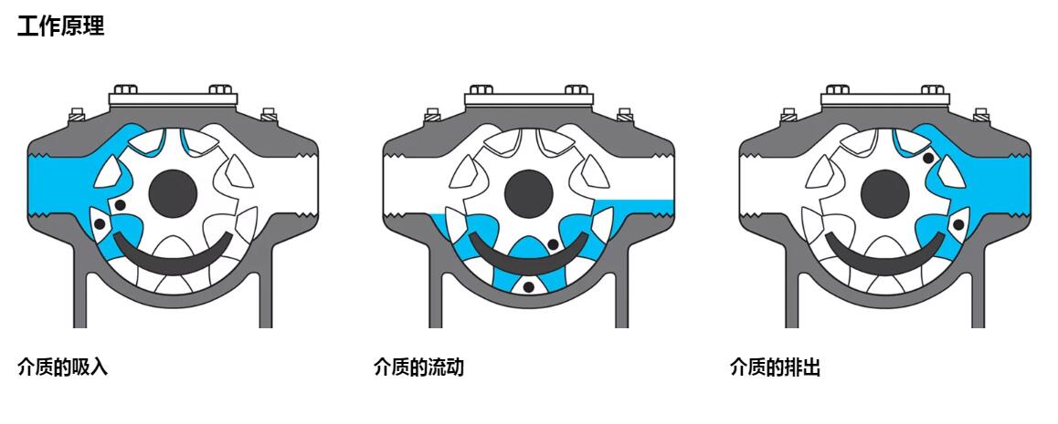 QQ截图20210206021312.jpg