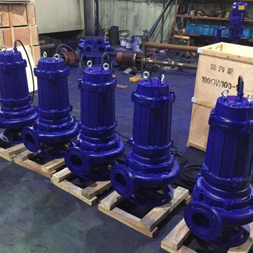 QW SUBMERSIBLE SEWAGE PUMP