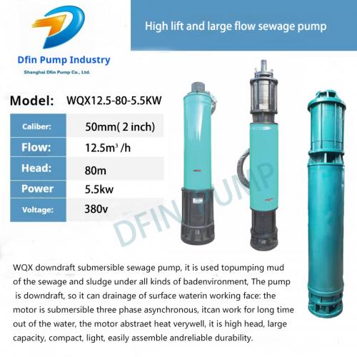 Wqx12.5-80-5.5kw Submersible Sewage Pump with Bottom Suction and Top Discharge. Down Suction Built-in High-Lift Sewage Pump